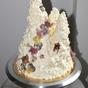 @spool__oven: Custom Cake or Cake Workshop (Toronto)